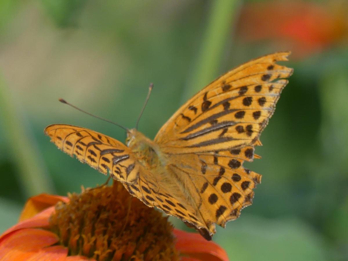 Source Nature Mas-d'Azil Dış mekan fotoğraf