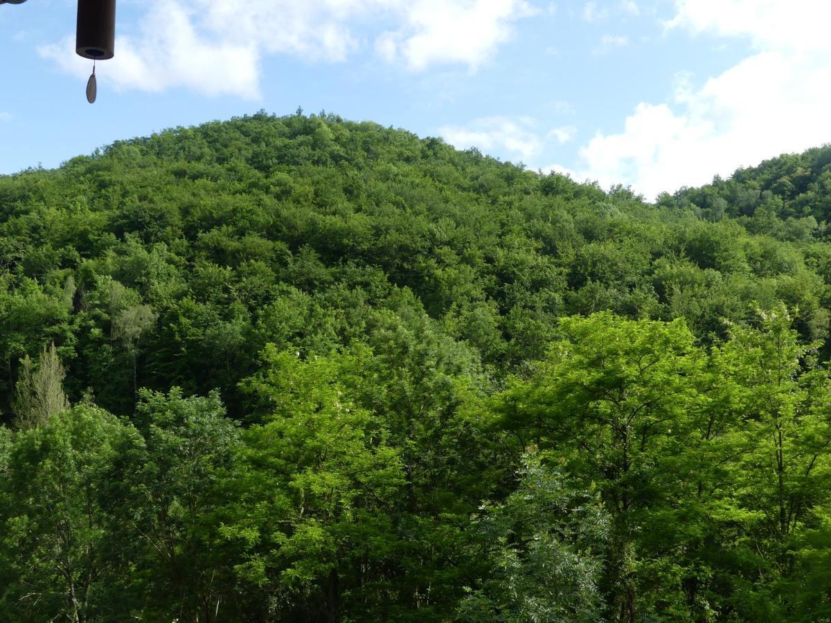 Source Nature Mas-d'Azil Dış mekan fotoğraf
