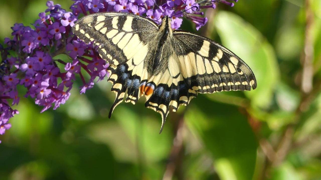 Source Nature Mas-d'Azil Dış mekan fotoğraf