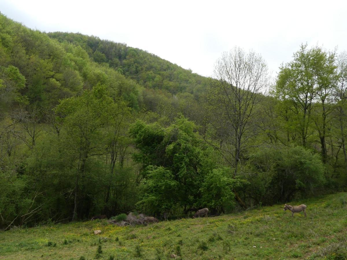 Source Nature Mas-d'Azil Dış mekan fotoğraf