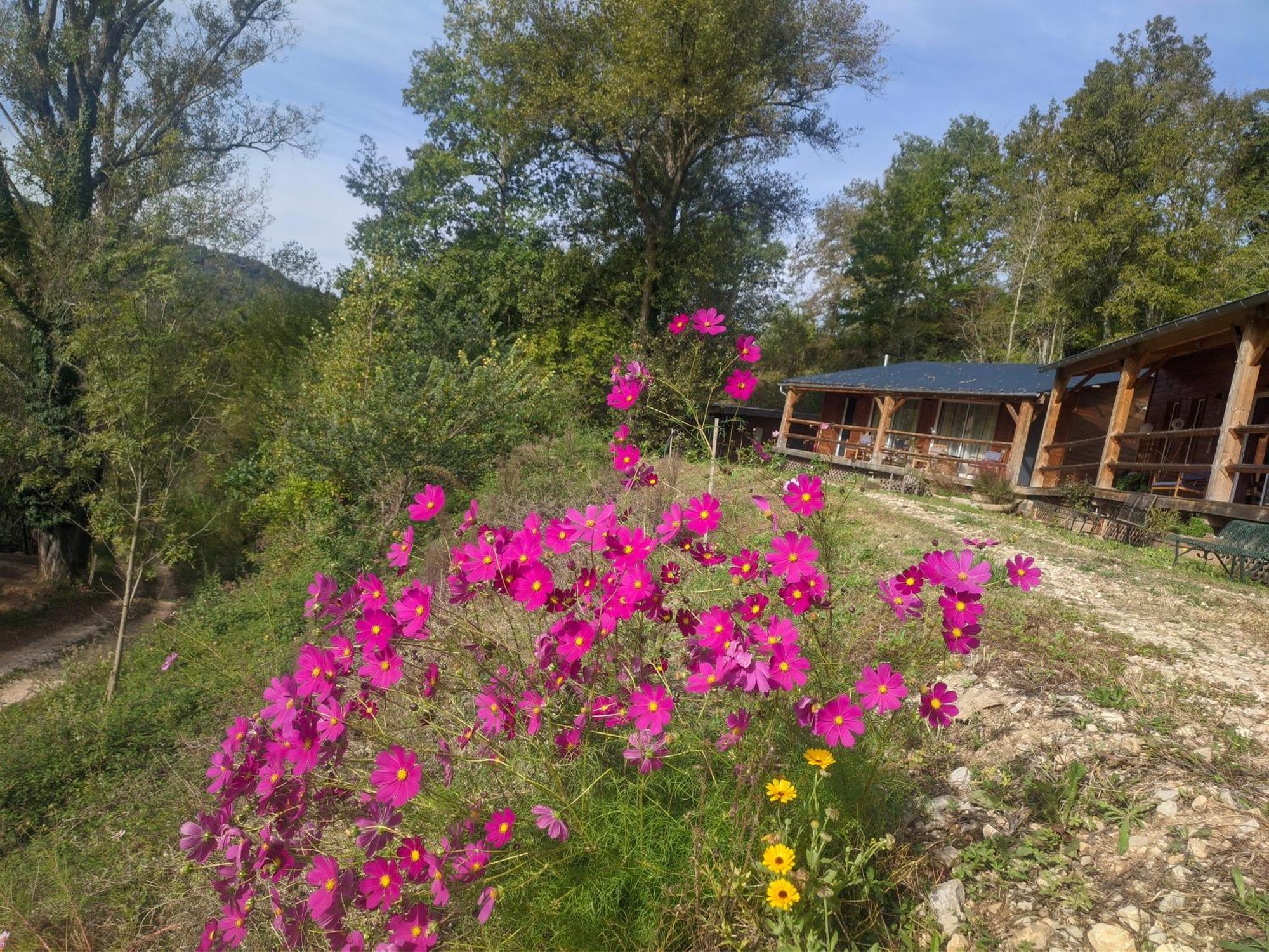 Source Nature Mas-d'Azil Oda fotoğraf